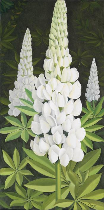 Lupins by 
																	Peter Newrkla