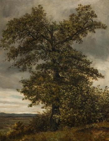 A tree in a landscape by 
																	Johann Novopacky