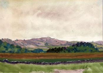 Landscape with rolling hills by 
																			Frederick Oakes Sylvester