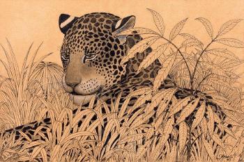 Jaguar dans les feuillages by 
																	Claude Rabanit