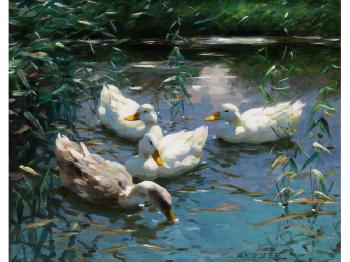 Vier Enten im Teich by 
																	Alexander Koester