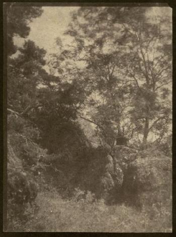 Étude d'arbres et de rochers by 
																	Charles Edouard Crespi-Le-prince