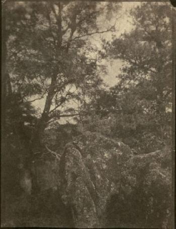 Étude d'arbres et de rocher by 
																	Charles Edouard Crespi-Le-prince