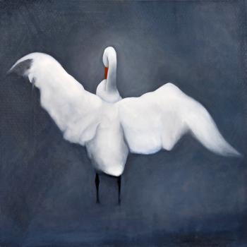 A swan by 
																			Eric Hynynen