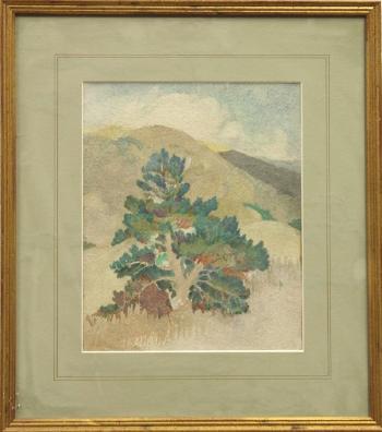 Monterey pine by 
																			William Baker Faville