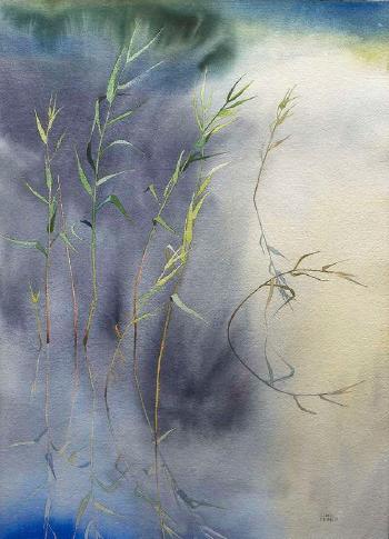 Reeds, clouds passing by 
																	Clare Cryan