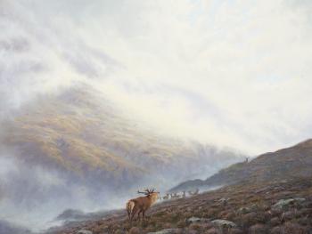 Rutting Deer by 
																	Ian Macgillivray