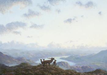 Deer in Highland Landscape by 
																	Ian Macgillivray