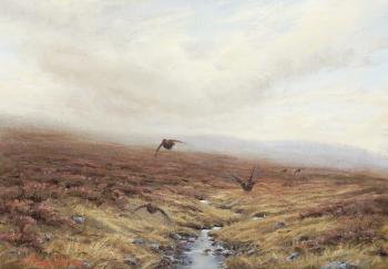 Grouse in Flight by 
																	Ian Macgillivray