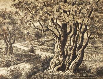 Landscape with olive trees by 
																	Aharon Halevy