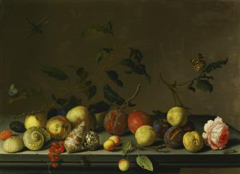 A Still Life Of Fruit And Shells With a Rose And Various Insects Upon a Stone Ledge by 
																	Balthasar van der Ast