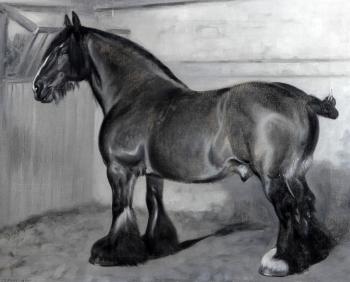 Clydesdale horse in a stable by 
																	Frank Babbage