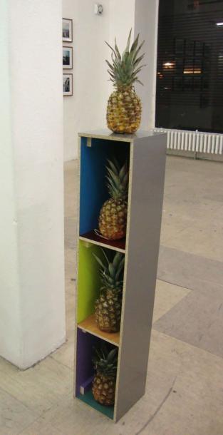 Rangement (case-logic) pour ananas by 
																	Cyril Aboucaya