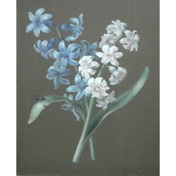 Blue and White Hyacinth. Light Pink Rose by 
																	Mary Lawrance Kearse