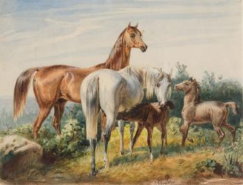 Stuten mit ihren Fohlen in sommerlicher Landschaft by 
																	Johann Baptist Zwecker
