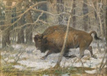 Bison by 
																			Efim Tikhmenov