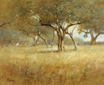 Olive Trees by 
																			Robert Maione