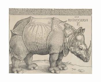 The Rhinoceros (B. 136; M.~ Holl. 241; S.M.S. 241) by 
																	Albrecht Durer