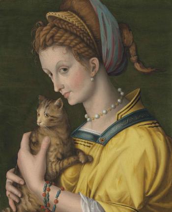 Portrait of a young lady holding a cat by 
																	 Bacchiacca