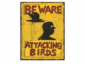 Beware- attacking birds by 
																	 Dax Rico