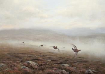 Grouse Flying Low by 
																	Ian Macgillivray