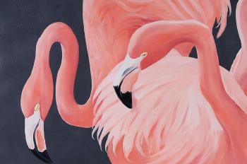 Flamingos by 
																			Sal Salinero