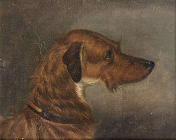Terriers and a Hound: A set of six by 
																			Edwin Loder of Bath