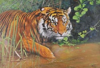 Prowling Tiger by 
																	Jonathan Wylder