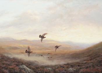 Grouse in the Mist by 
																			Ian Macgillivray