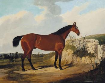 A bay hunter in a landscape by 
																	Joseph Dunn of Worcester