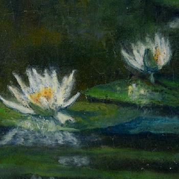 Water lilies by 
																			Steven Stelz
