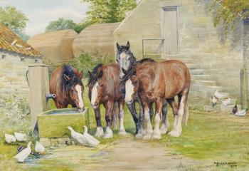 Sunlit farmyard with shire horses beside a trough, ducks in the foreground by 
																	Dorothy Margaret Alderson