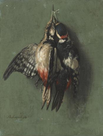 Pics épeiches (Great-spotted woodpeckers); Grives litornes (Fieldfare thrushes) by 
																			Benjamin Raspail