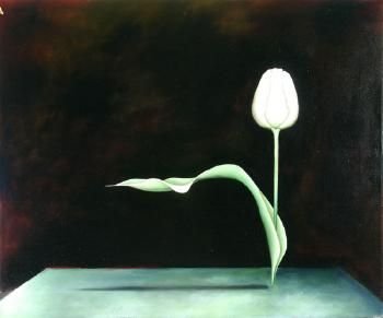 Lily. Tulip by 
																			Leslie Exton