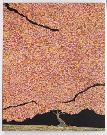 Gran árbol rosa by 
																	Jose Antonio Farrera