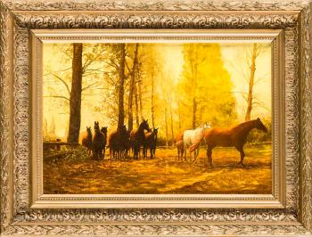 Pferde auf der Koppel by 
																	Kasjan Farbisz