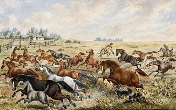 Rounding up horses by 
																	Adam Gustavus Ball