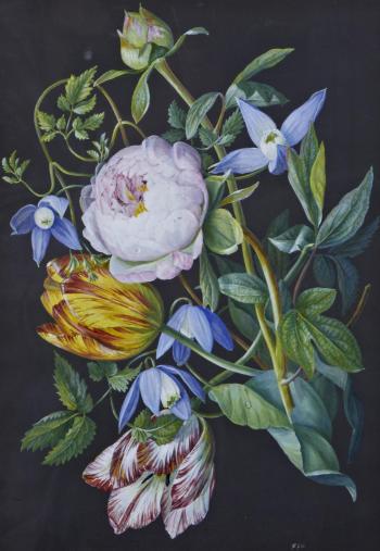Flower piece with roses, tulips and speedwell; Convolvulus and apple blossom by 
																			Christel Johann Heinrich Eli