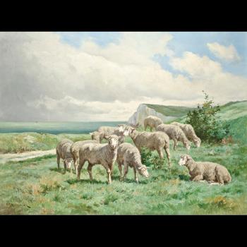 Pecore al pascolo sulla scogliera by 
																	Edouard-Jean-Conrad Hamman