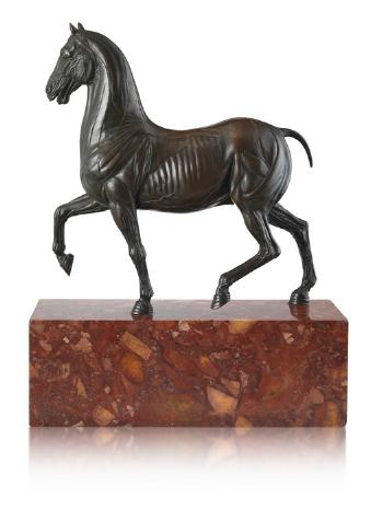 Das Pferd ohne Haut, Il Cavallino scorticato, Le Cheval écorché by 
																			Giuseppe Valadier