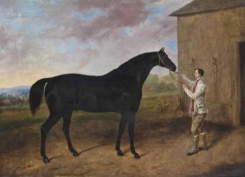 A dark bay hunter and his groom by 
																	Joseph Maiden