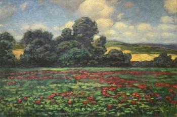 Poppies in a Green Field, Arad by 
																	Bela Balla