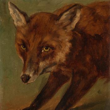 Red Fox by 
																			Max Uth