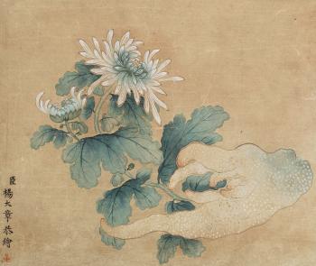 Chrysanthemum And Fingered Citron by 
																	 Yang Dazhang