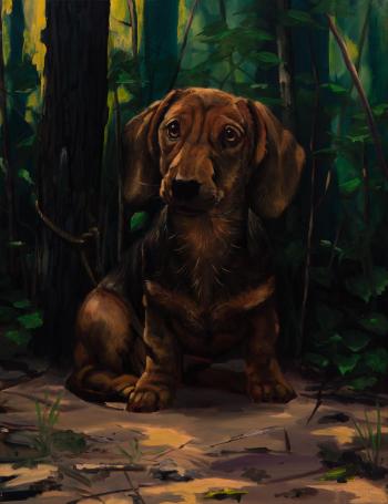 Dog in forest by 
																	Siert Simon Dallinga