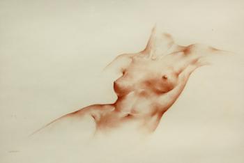 Female torso by 
																	Alejandro de Canedo