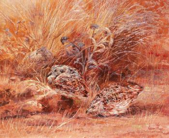 Grouse in a landscape by 
																			Leon Frias