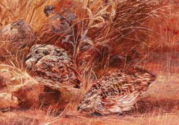 Grouse in a landscape by 
																			Leon Frias