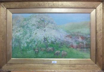 Sheep in an orchard with May blosson by 
																			Alice Macallan Swan