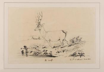 Le cerf by 
																	Ferdinand Philippe Louis Charles Henri d'Orleans